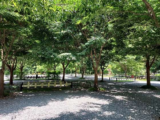횡성산울림오토캠핑장 이미지