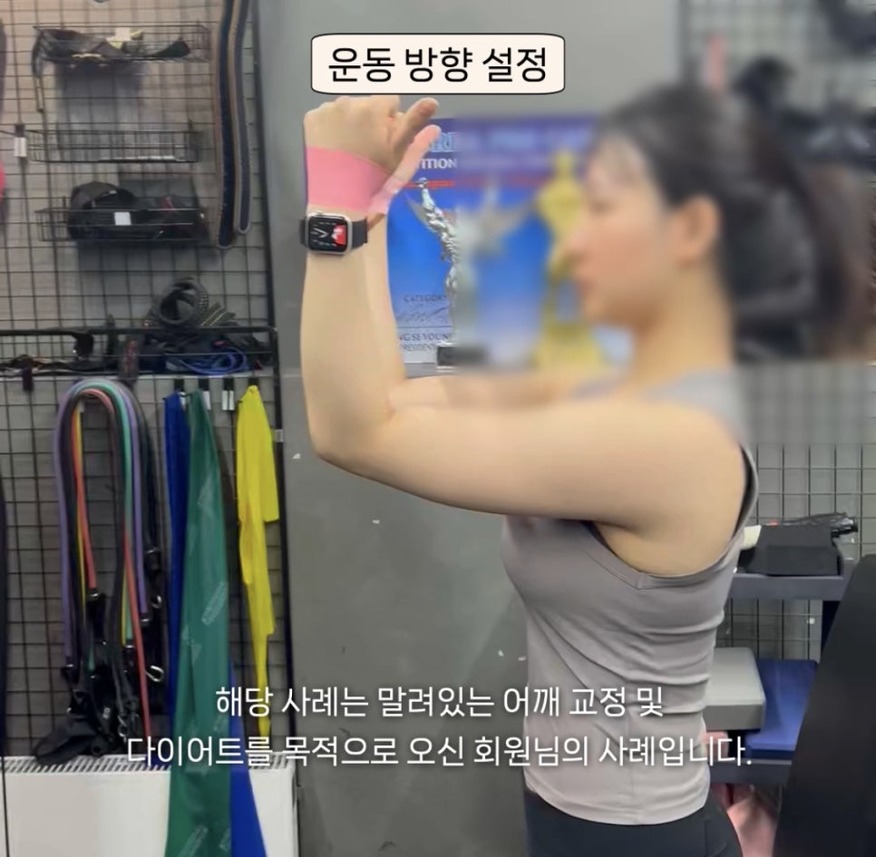 바오핏가락문정 이미지