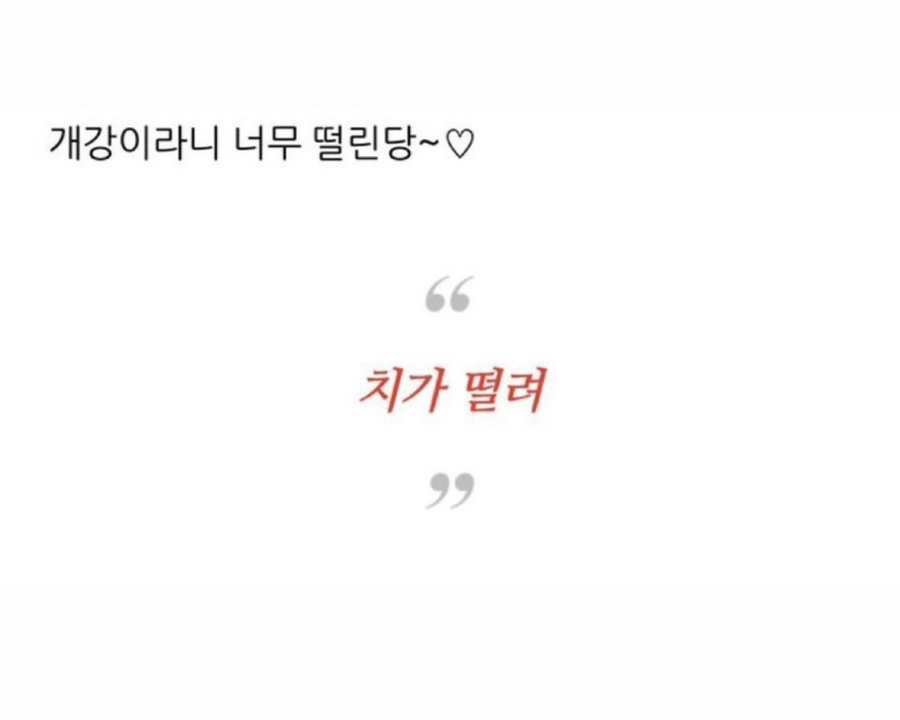 당연이 이미지
