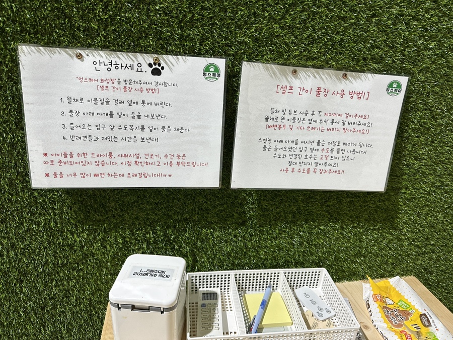 동탄 멍스퀘어 애견운동장 대관 후기 및 이용 팁 — 사진 6