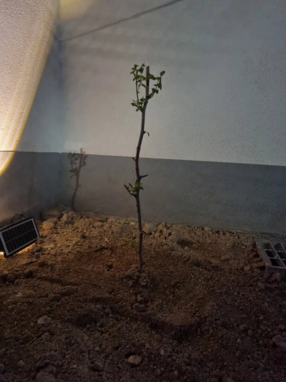 김보경헤어 이미지