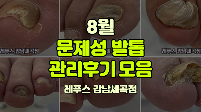 레푸스강남세곡점 이미지