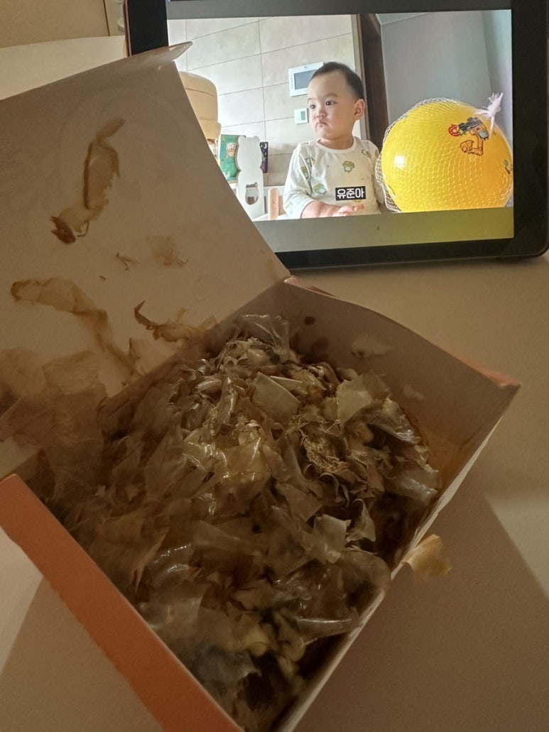영타코 이미지