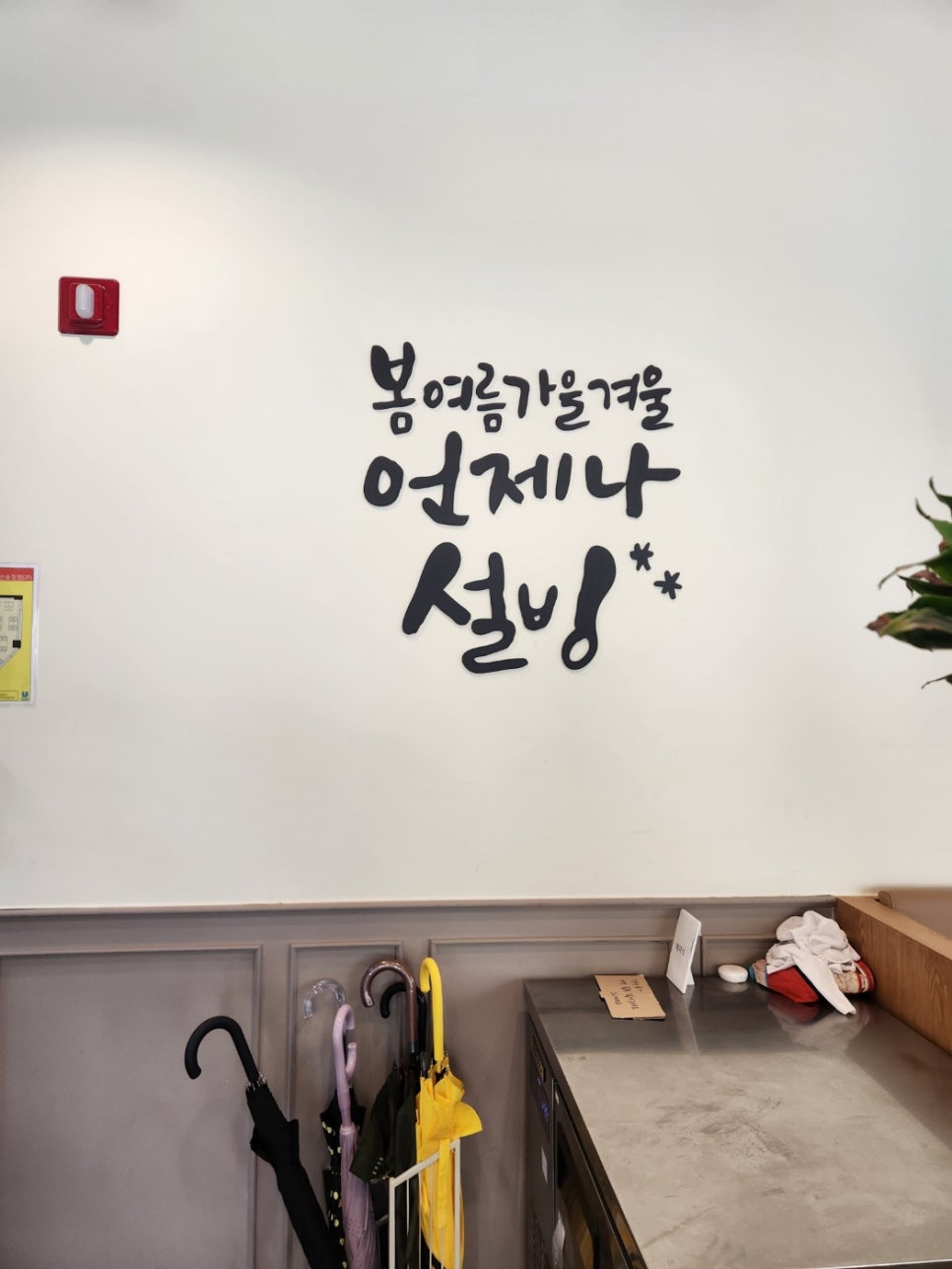 설빙울산송정점 이미지