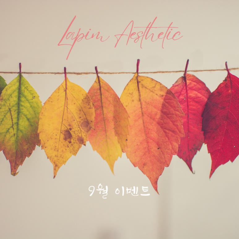 라피움 이미지