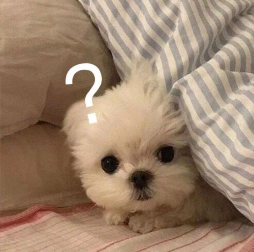 오늘의다은 이미지
