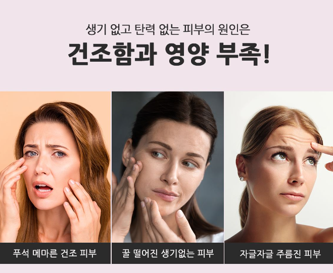피오리다 이미지