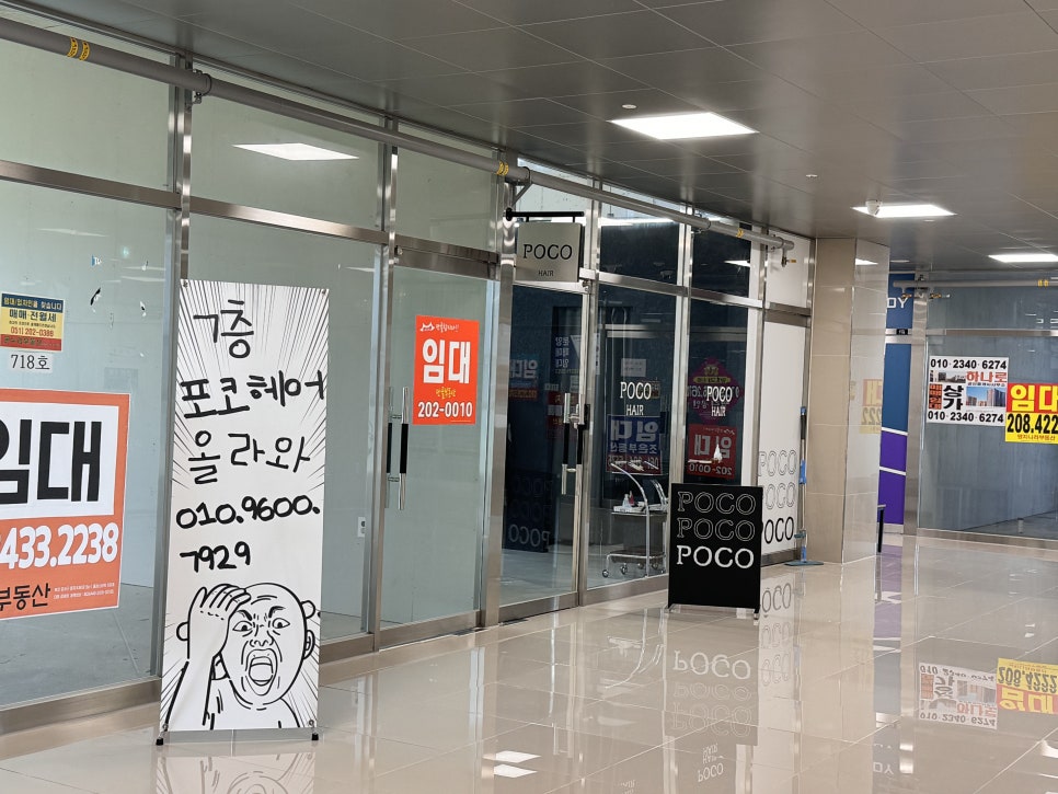 포코헤어 이미지