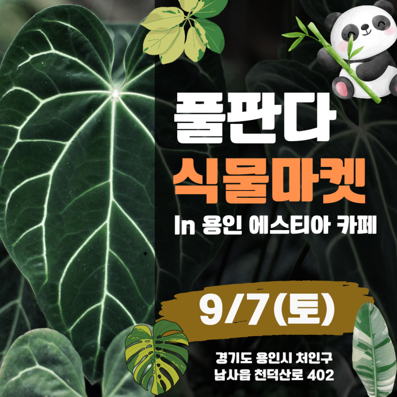 풀마켓 이미지