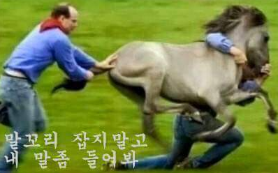섬나루바지락칼국수 이미지
