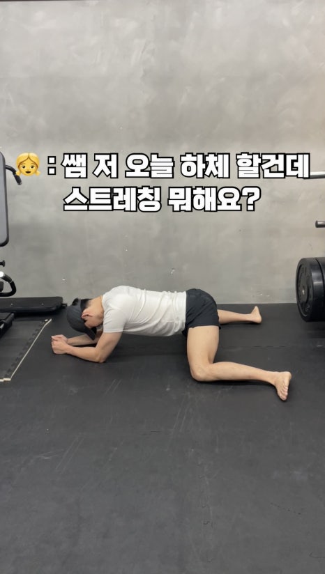 바오핏가락문정 이미지