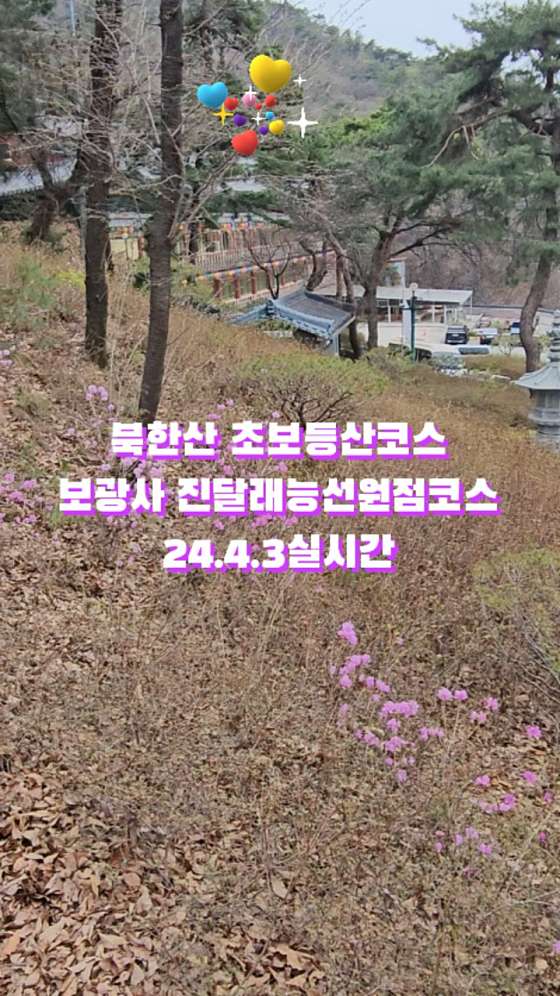 카페141 이미지
