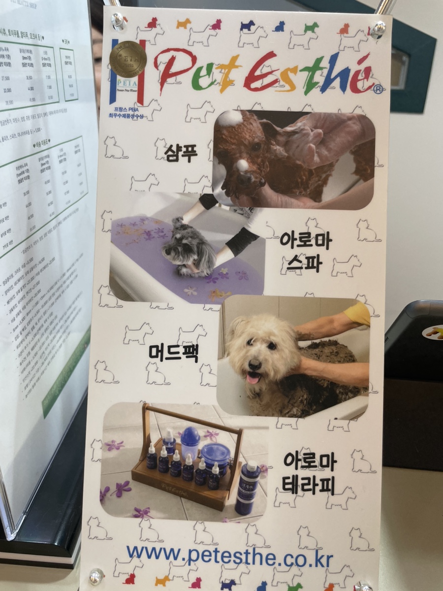 늘빛나 이미지