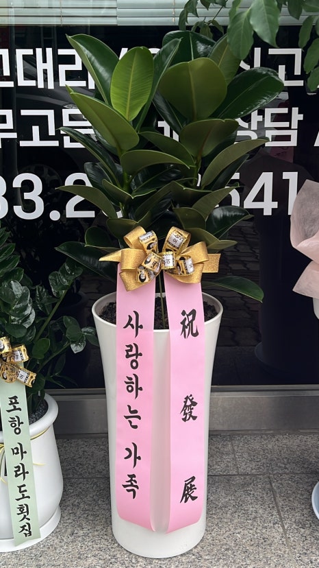 안김세무회계 이미지