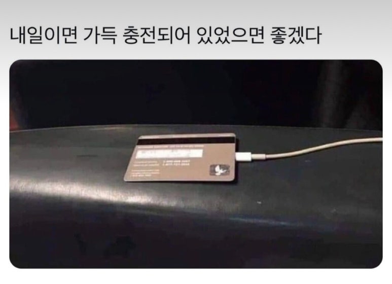 영타코 이미지
