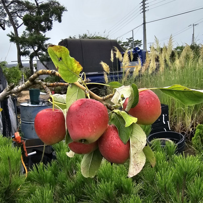 (주)포트 이미지