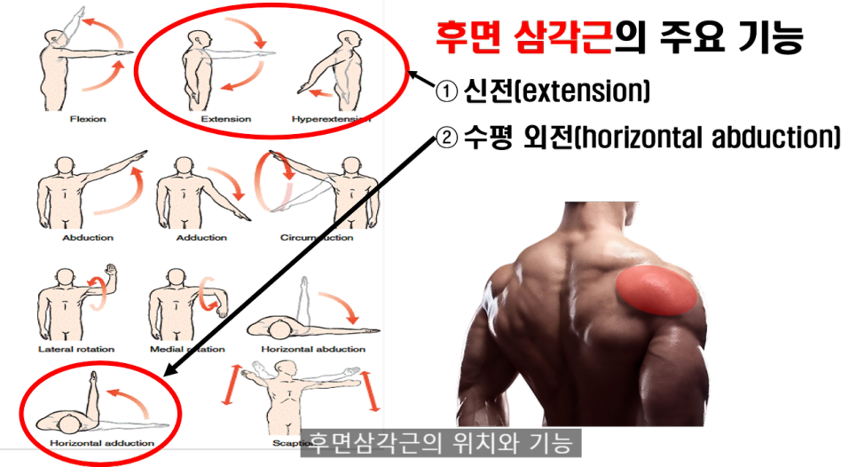 바디제이짐 이미지