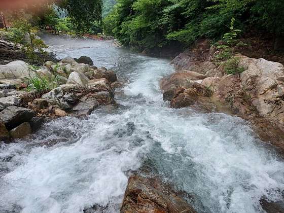 횡성산울림오토캠핑장 이미지