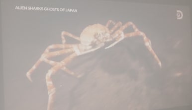 더강문풀빌라 이미지