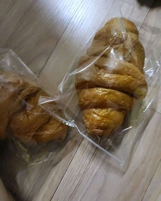 더메모리 이미지