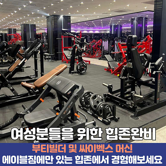 에이블시스템주 이미지