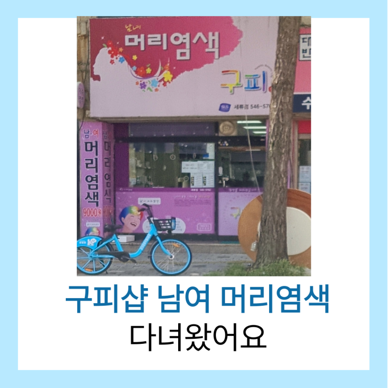 구피샵 이미지