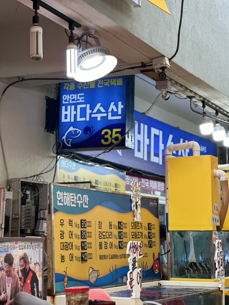 둘리수산 이미지