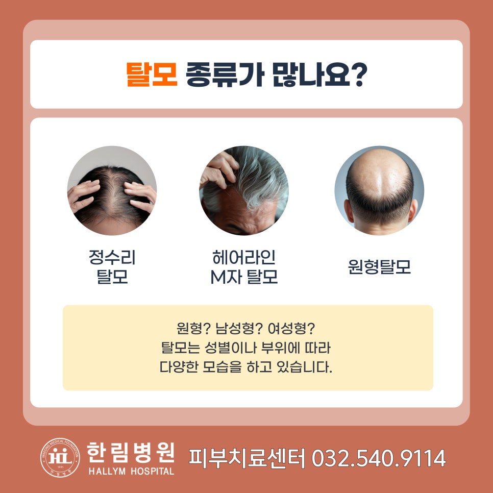 헤어, 지지 말자 이미지