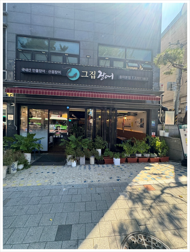 그집장어 이미지