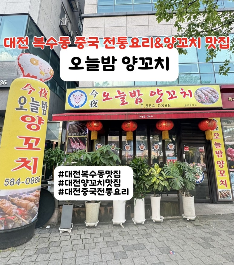 오늘밤양꼬치 이미지