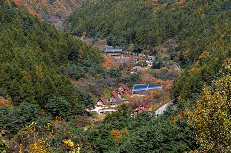 광치 자연휴양림 이미지