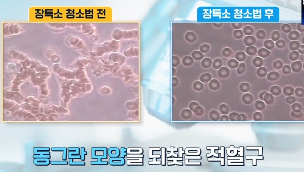 제왕장 이미지