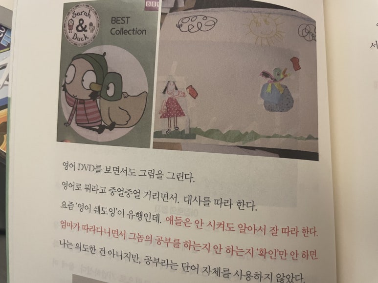 새라콜렉션 이미지