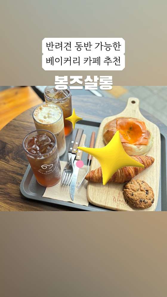 봉즈살롱 이미지