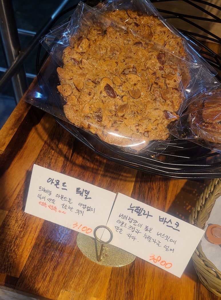 파니피카 이미지