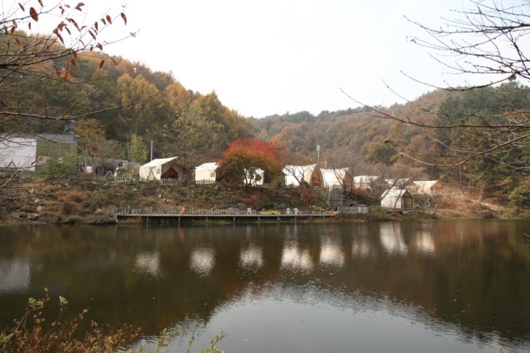 판앤팜 치유정원 이미지