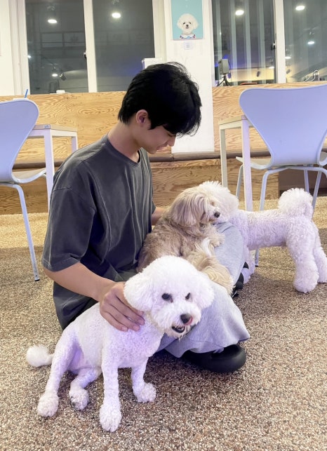 빅토리부띠끄 이미지