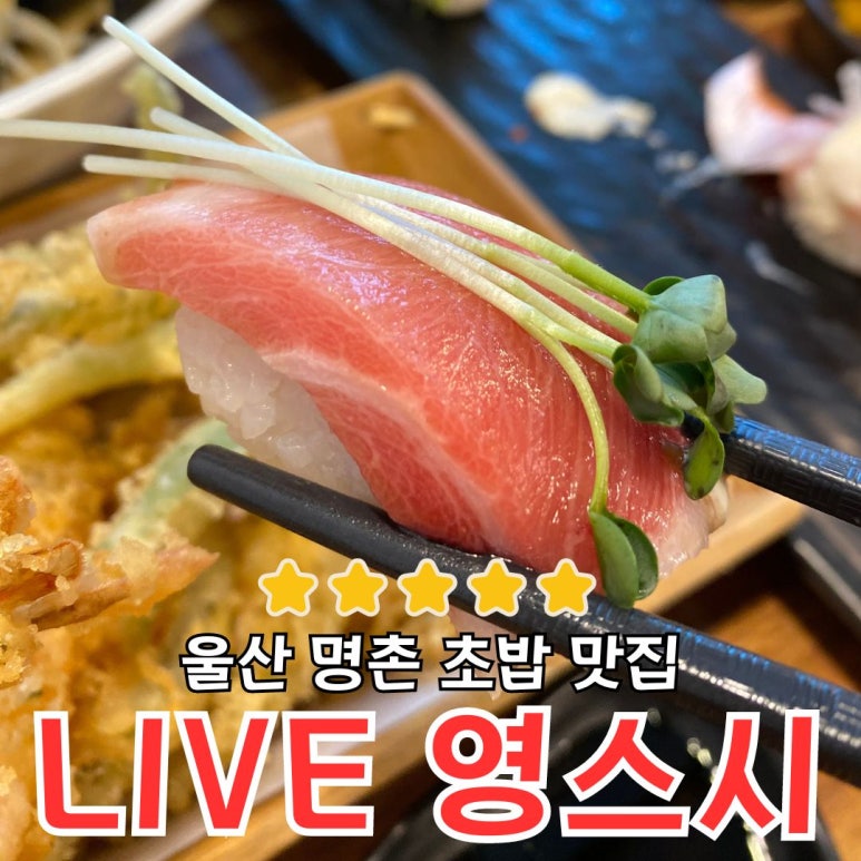 영스시 이미지