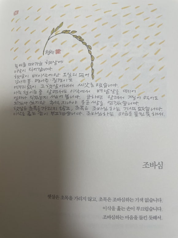 사는동안꽃처럼 이미지