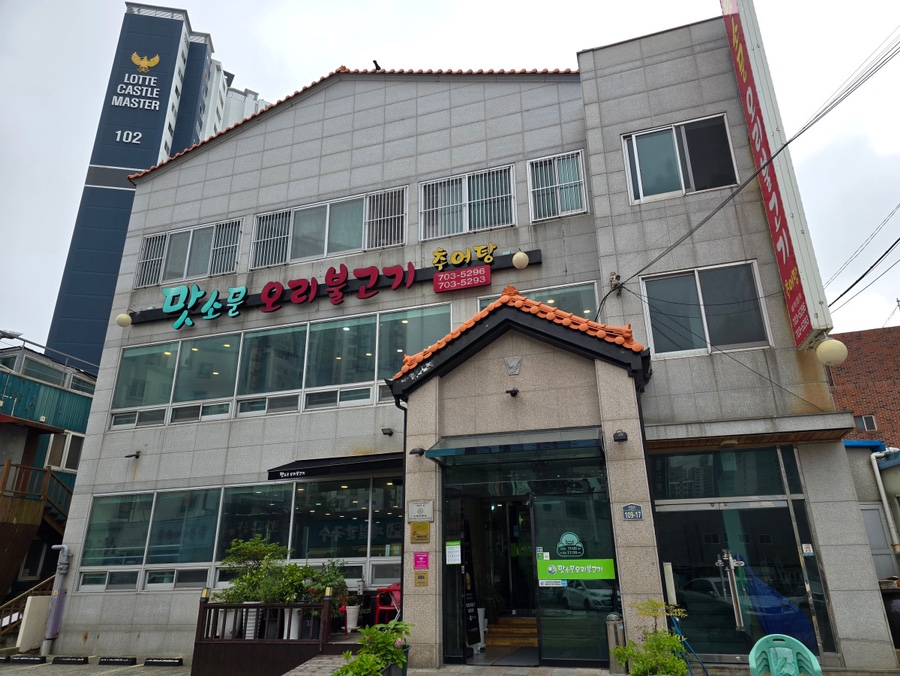 싱싱오리 이미지