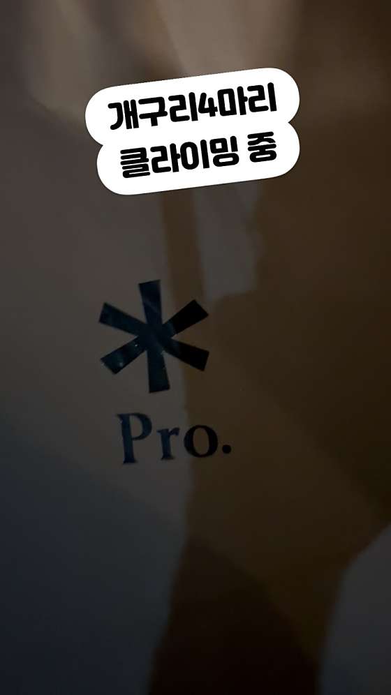 법인춘당노다지휴양마을 이미지