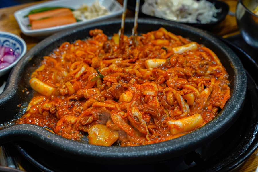 싱싱오리 이미지
