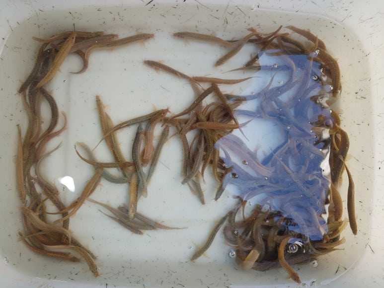 덕순네가게 이미지