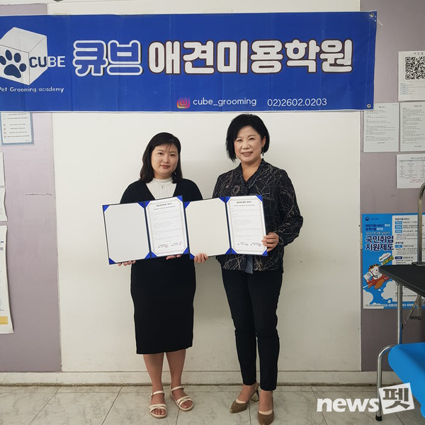큐브애견미용학원 이미지