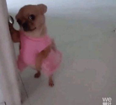 인 이미지