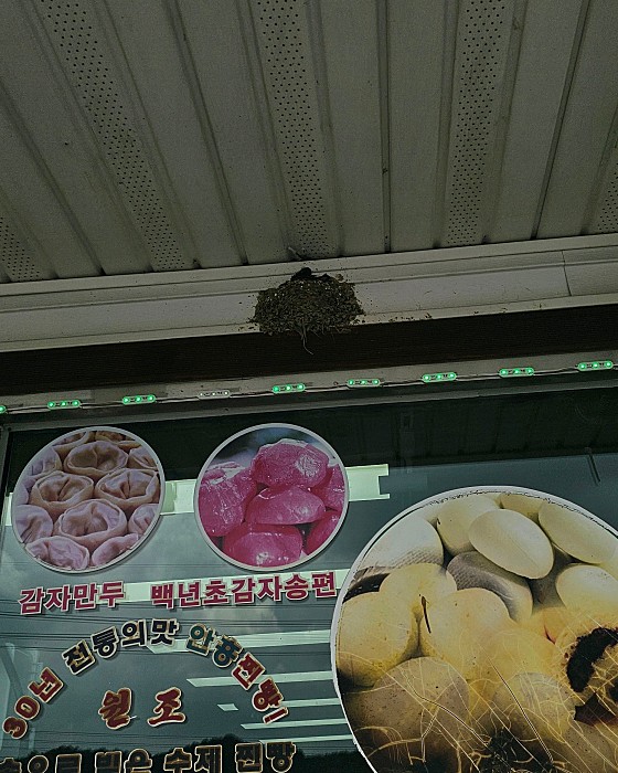 원조안흥찐빵 이미지