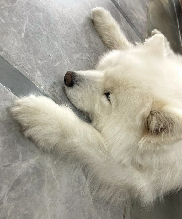 겨울이머무는집 이미지