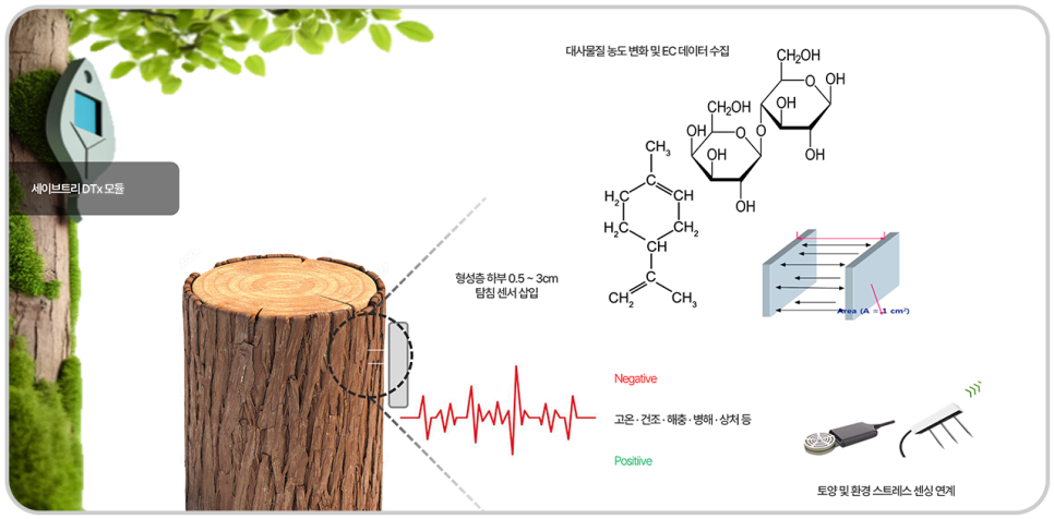 세이브트리엑스퍼트 이미지