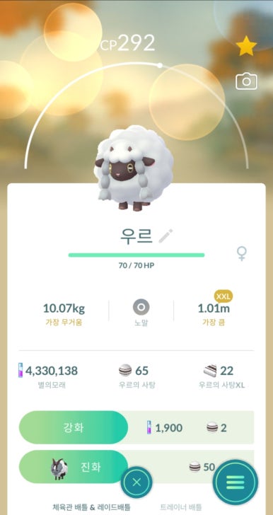 우르 이미지