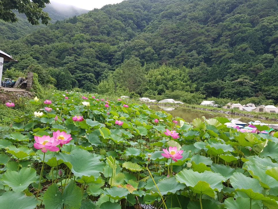 흙내음 글램핑 이미지
